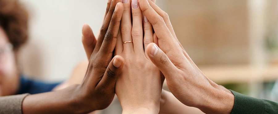 colaboracion-berlanga